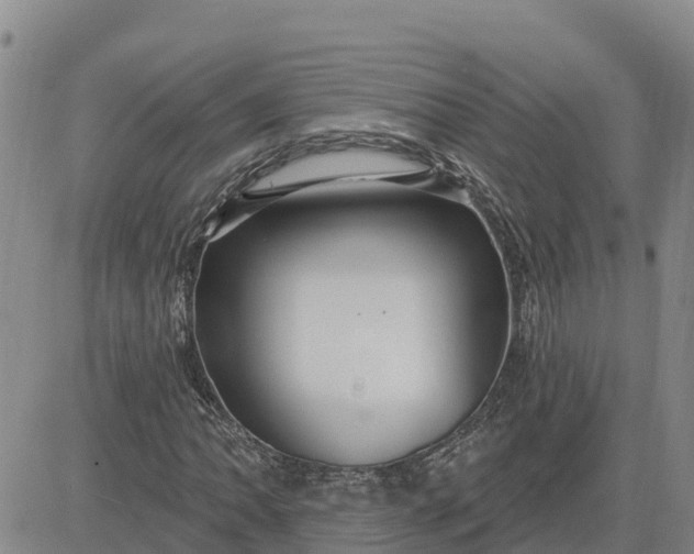 X0000080691062200612301444