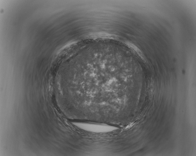 X0000080691063200612301444