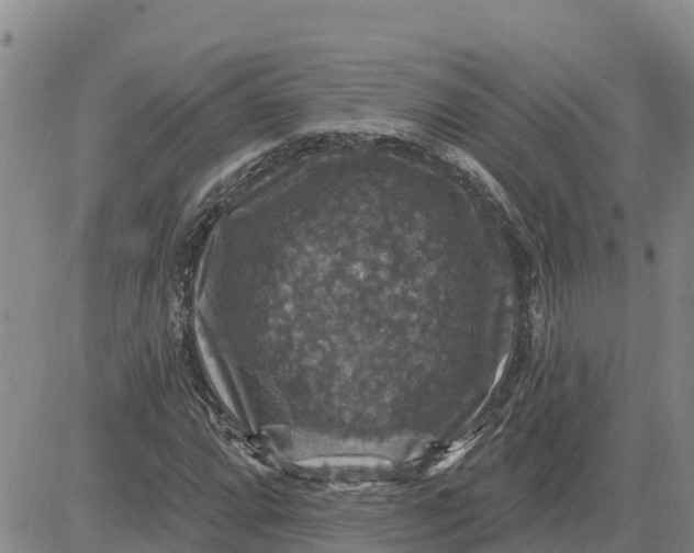 X0000080691064200612301444