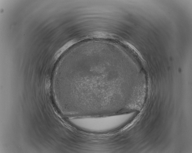 X0000080691065200612301444