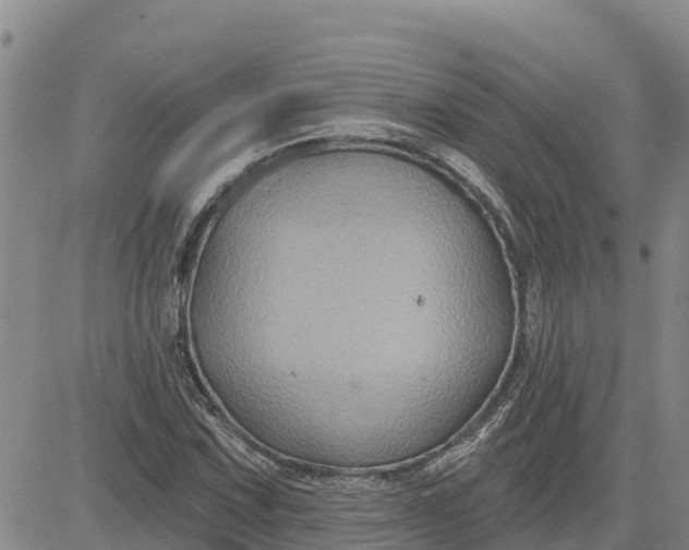 X0000080691067200612301444