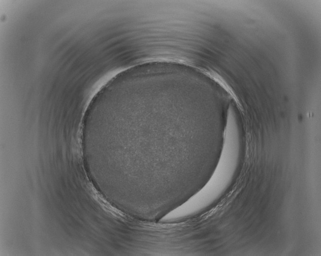 X0000080691068200612301444