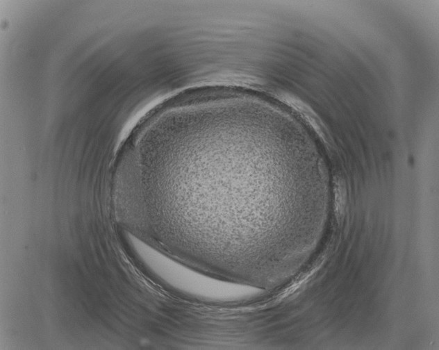 X0000080691069200612301444