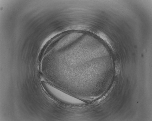 X0000080691070200612301444