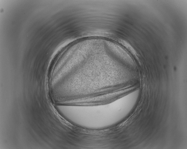 X0000080691072200612301444