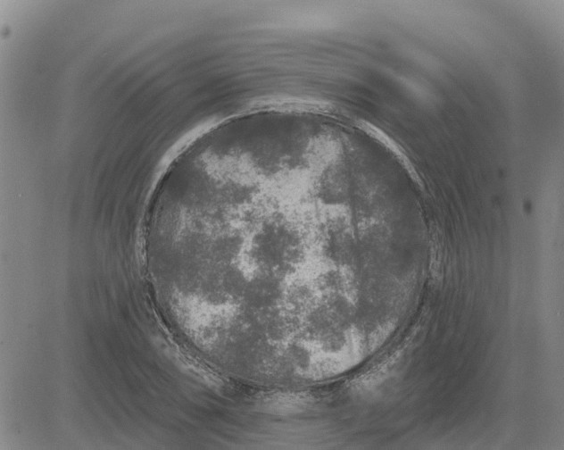 X0000080691074200612301444