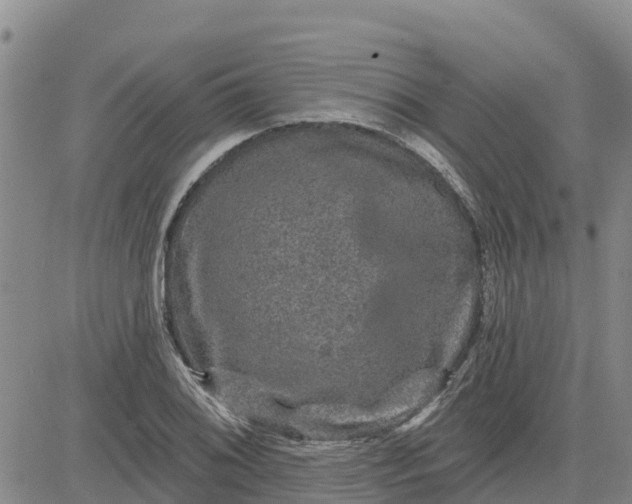 X0000080691076200612301444