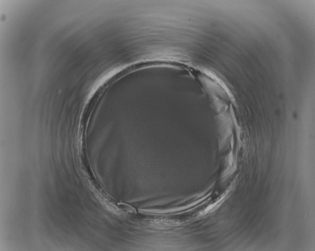 X0000080691077200612301444