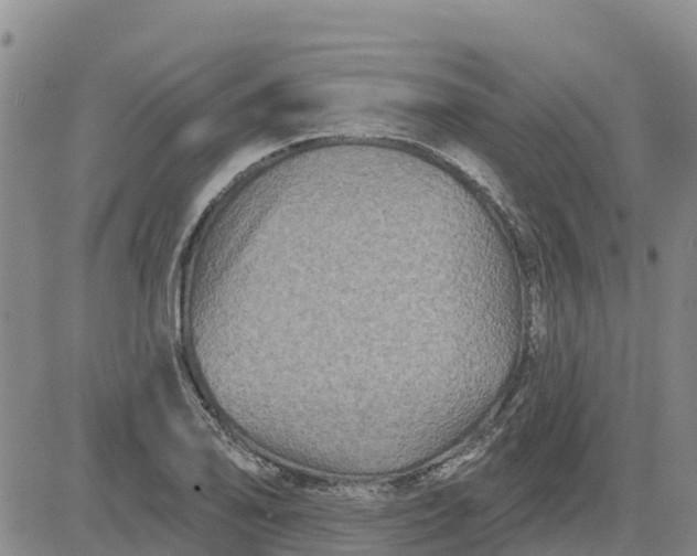 X0000080691078200612301443