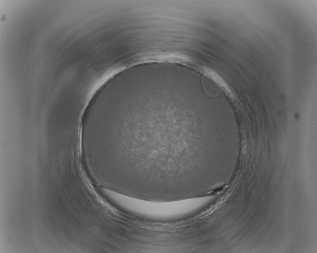 X0000080691079200612301443