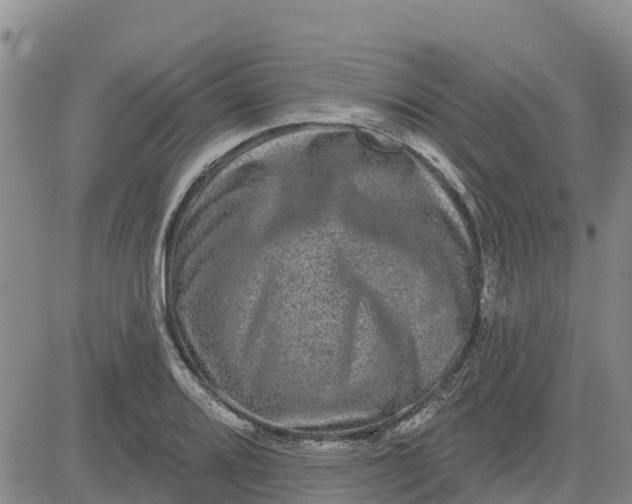 X0000080691080200612301443