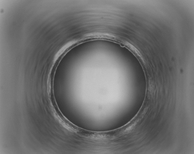 X0000080691082200612301443