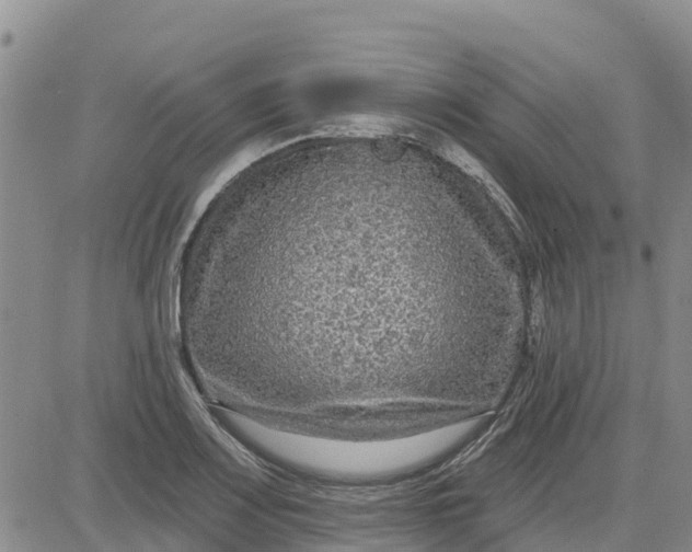 X0000080691083200612301443