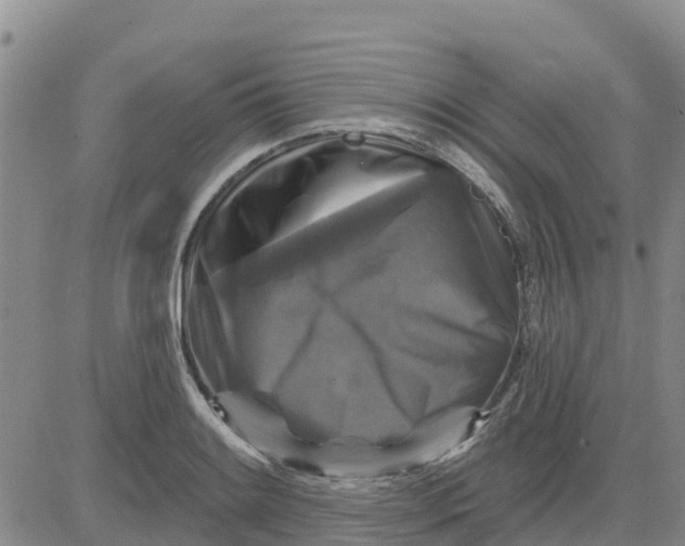 X0000080691084200612301443