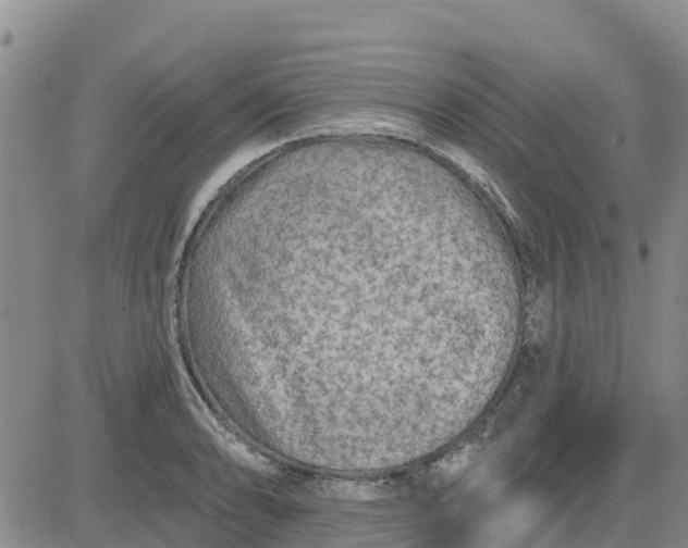 X0000080691086200612301443