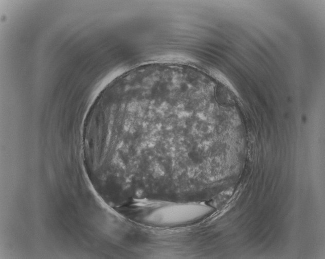 X0000080691087200612301443