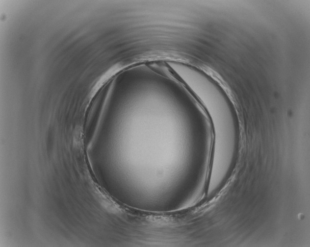 X0000080691089200612301443