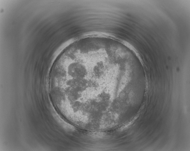 X0000080691090200612301443