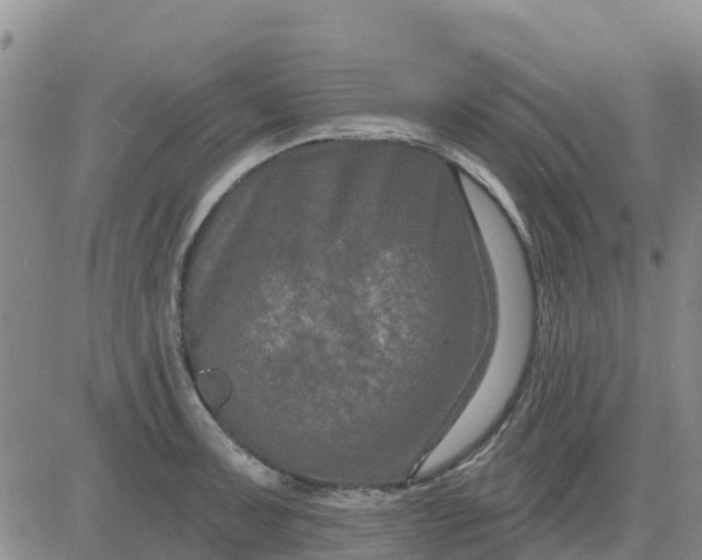 X0000080691091200612301443