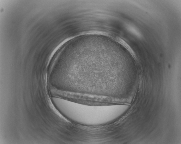 X0000080691092200612301443