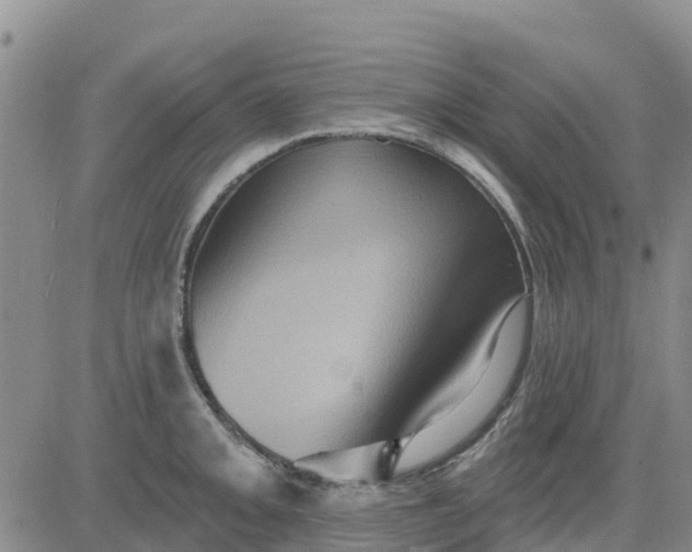 X0000080691093200612301443