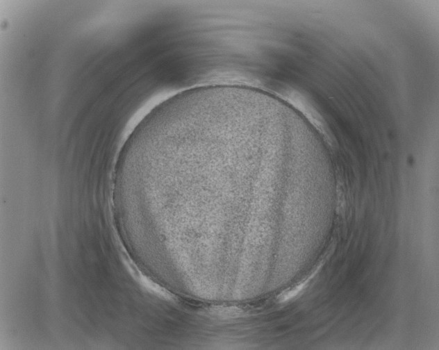 X0000080691094200612301443