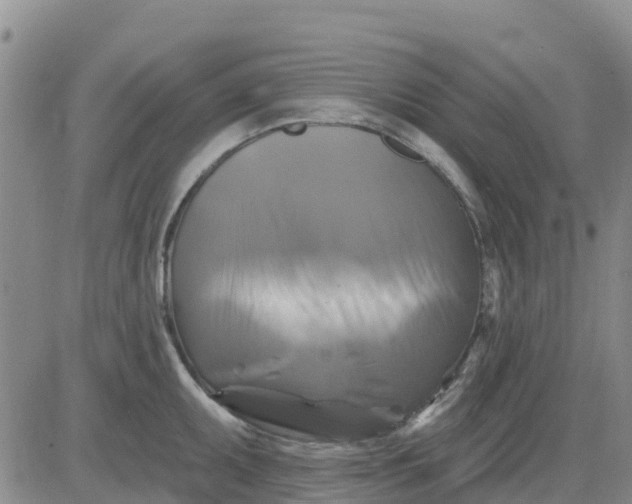 X0000080691095200612301443