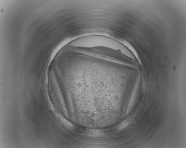 X0000080691096200612301443