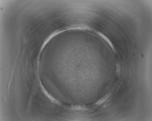 X0000080691099200612301443