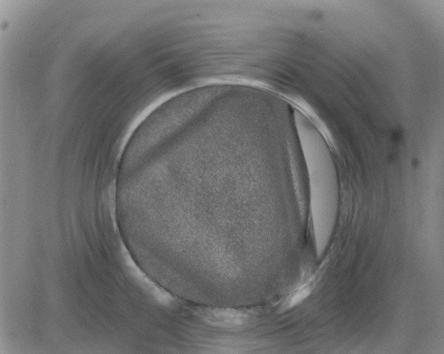 X0000080691100200612301443