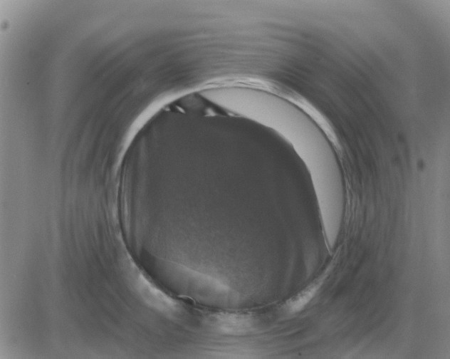 X0000080691102200612301443