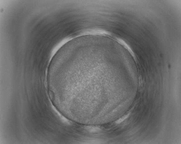 X0000080691103200612301443