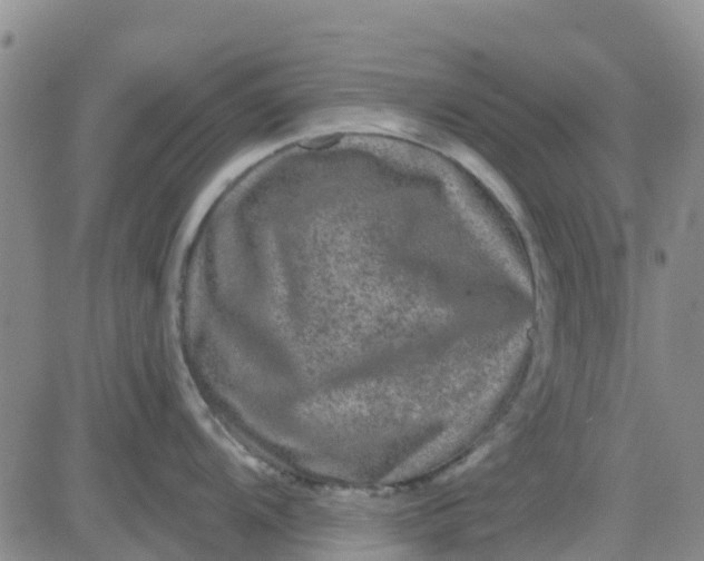 X0000080691104200612301443