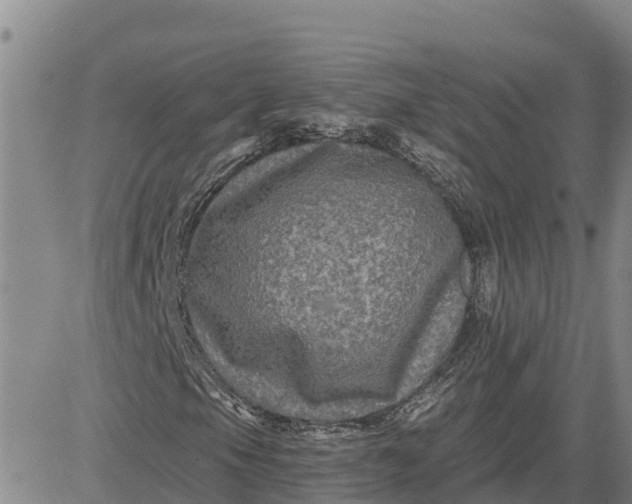 X0000080691105200612301442