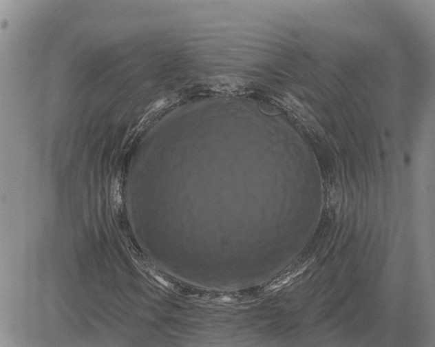 X0000080691106200612301442