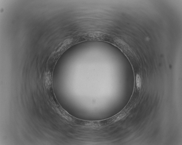 X0000080691107200612301442