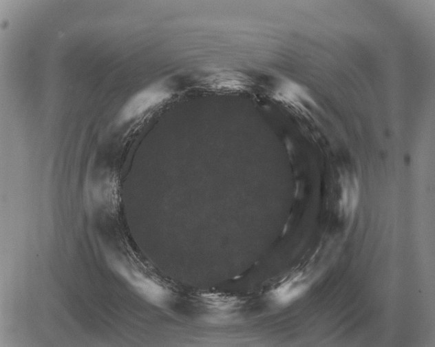 X0000080691108200612301442