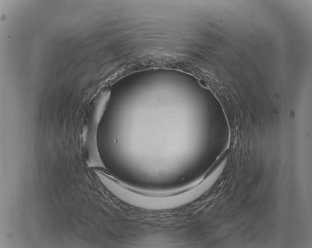 X0000080691109200612301442