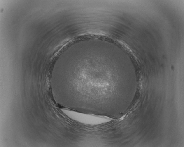 X0000080691110200612301442