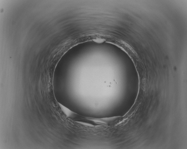 X0000080691111200612301442