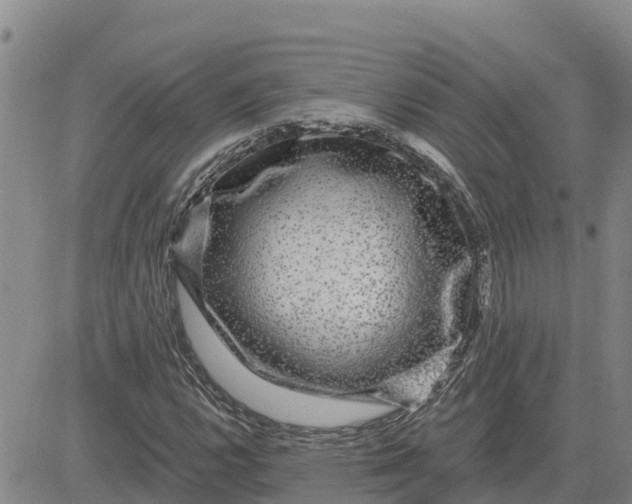 X0000080691112200612301442