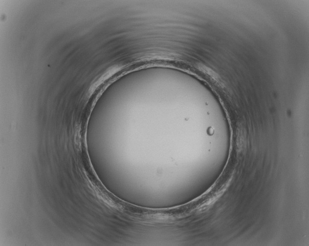 X0000080691113200612301442