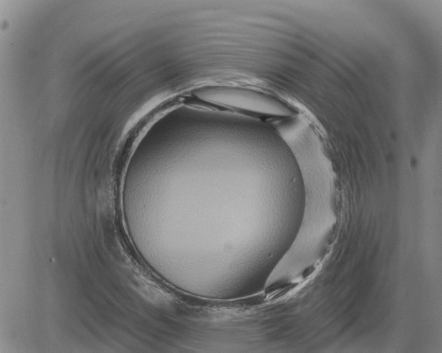 X0000080691114200612301442