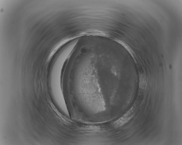 X0000080691115200612301442