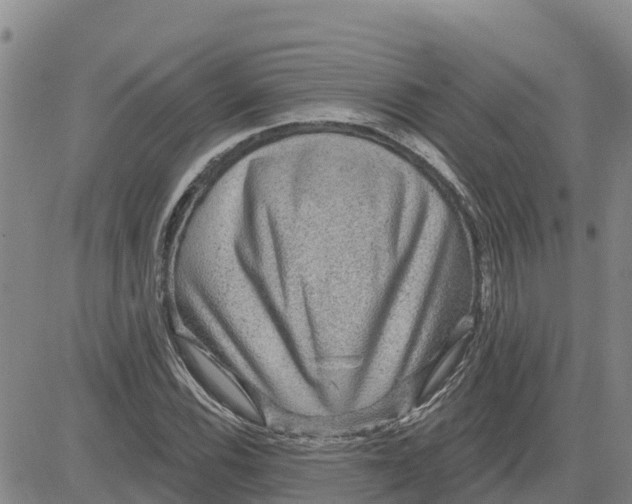 X0000080691116200612301442