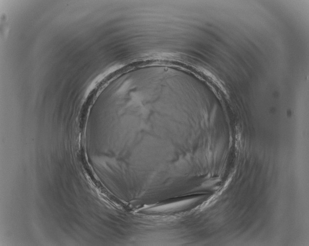 X0000080691117200612301442