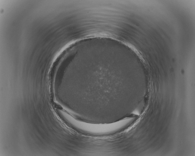 X0000080691118200612301443