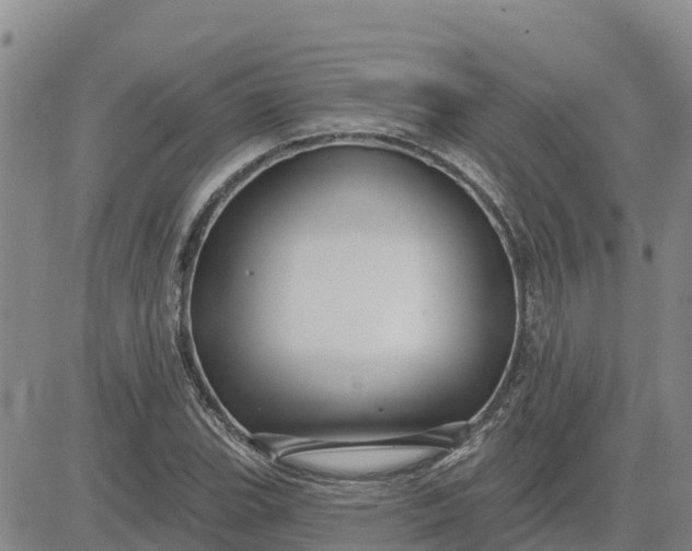 X0000080691119200612301443