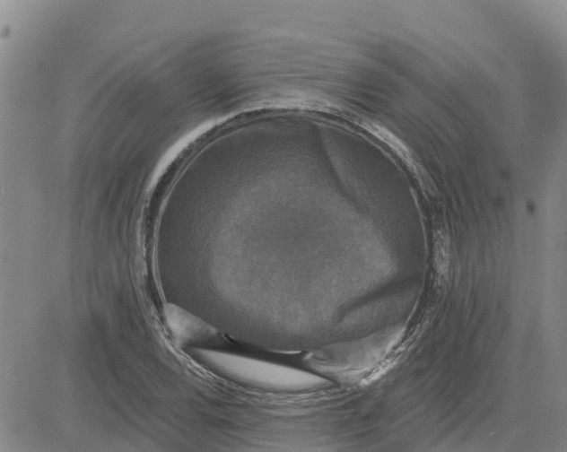 X0000080691120200612301443