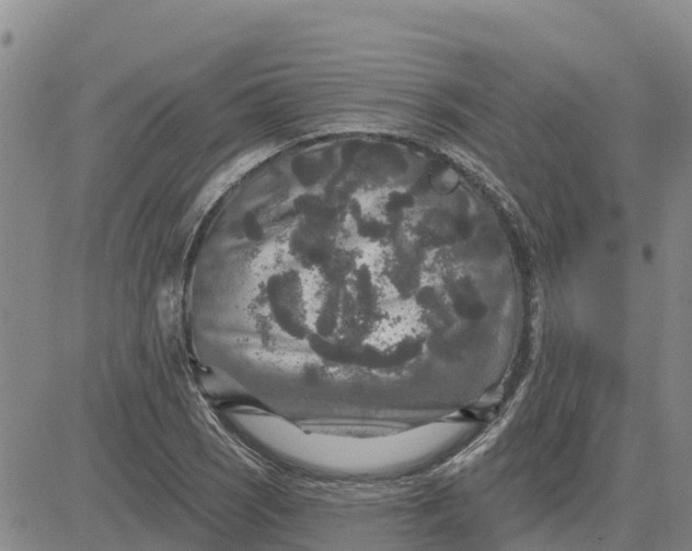 X0000080691121200612301443